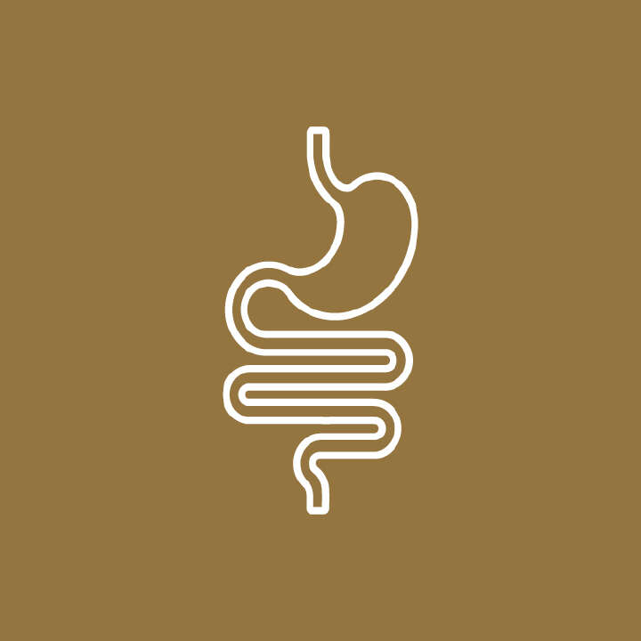 magen darm trakt icon 360x360